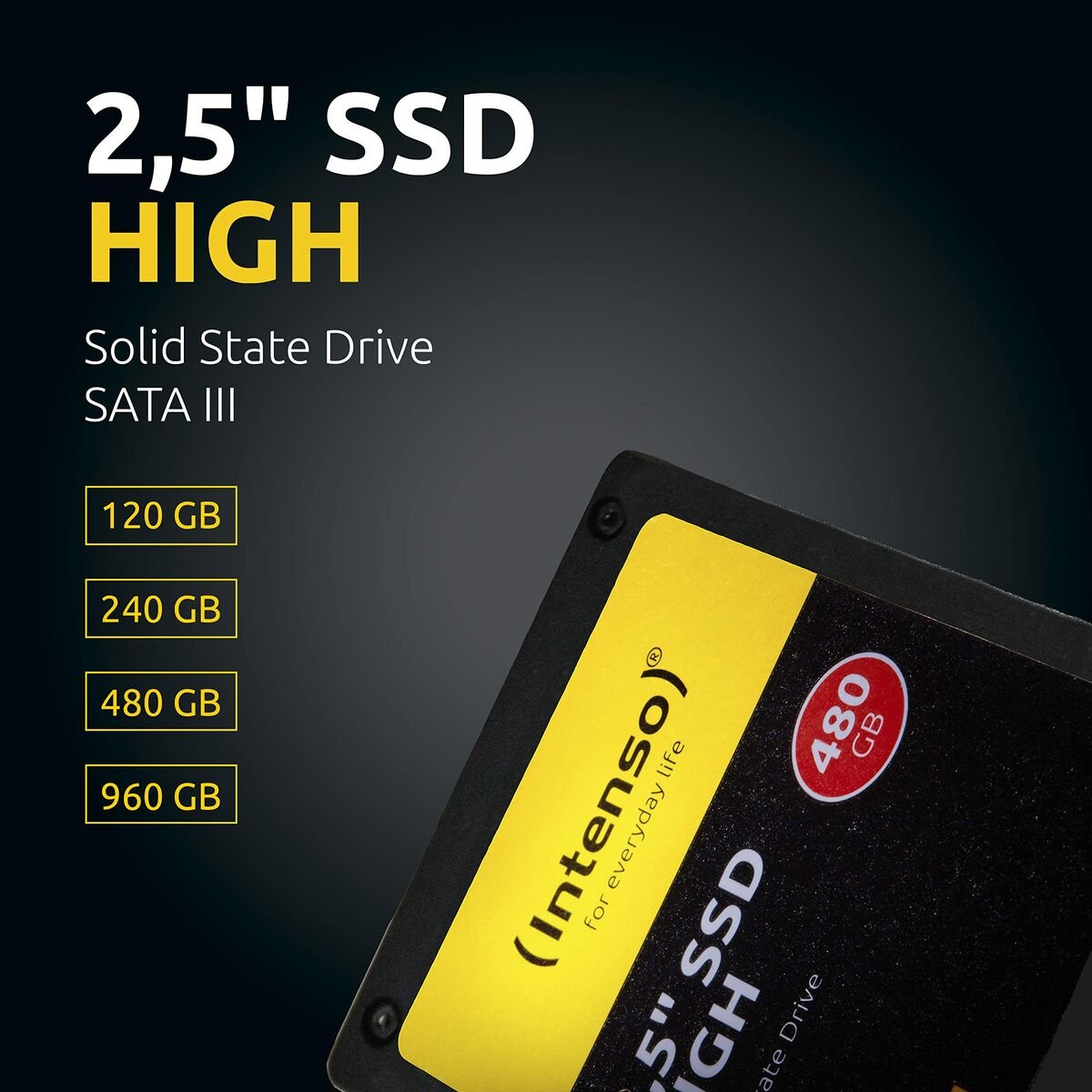 DISCO SSD INTENSO High Performance 512 GB SSD 120 GB 